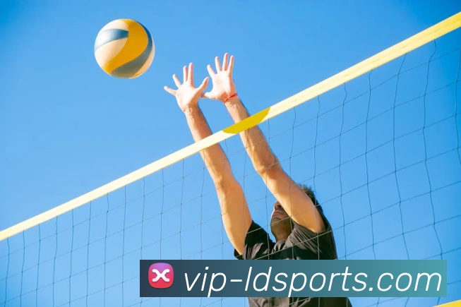 体育下注品牌故事