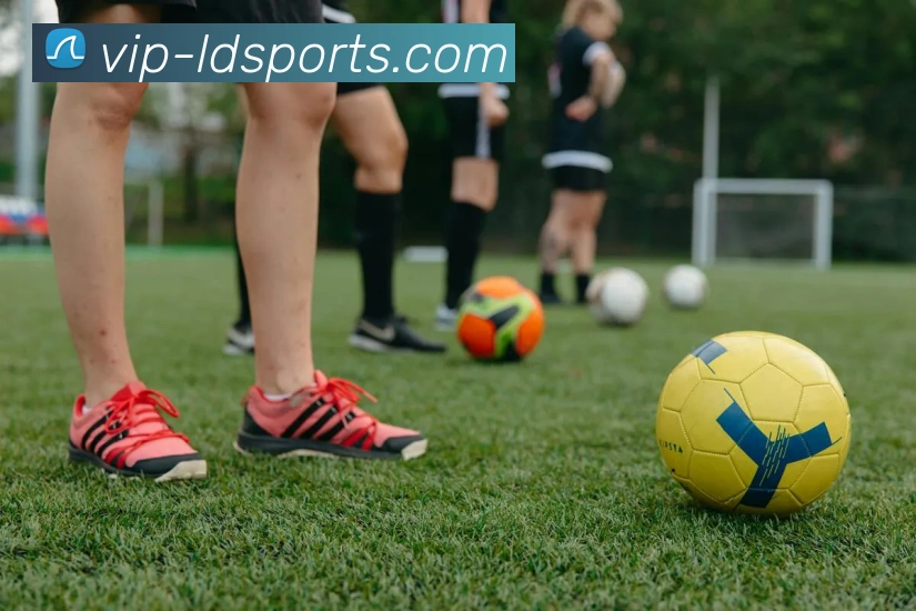 体育下注服务体系