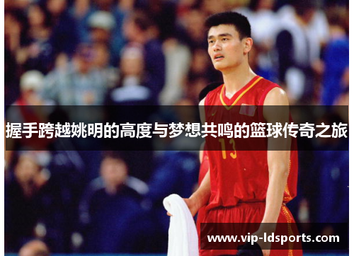 握手跨越姚明的高度与梦想共鸣的篮球传奇之旅